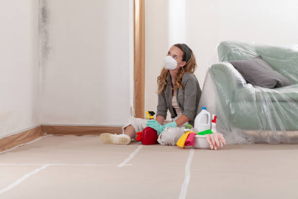 Reliable Mold Testing contractor in Lyons, CO by WQB Mold Removal